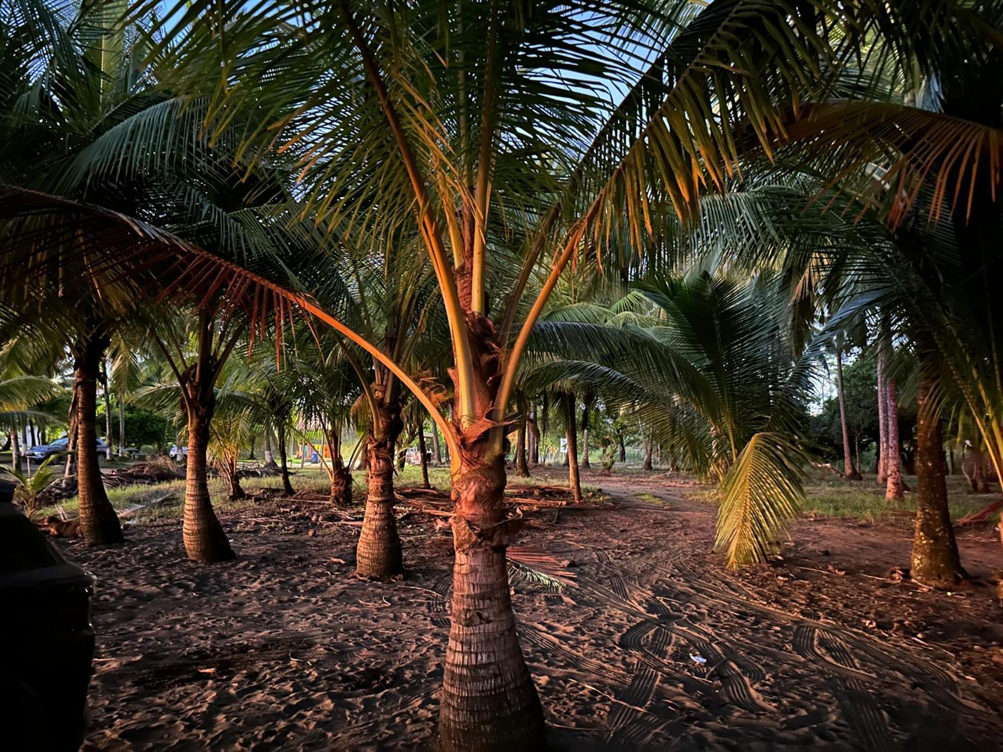 Casa Paraiso Tropical Parrita Exteriör bild